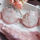 Blossom Luxe Embroidered Lingerie Set